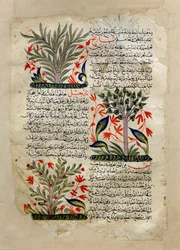 Illustrationen